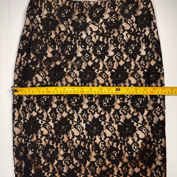 NWT Banana Republic Black Lace Skirt overlay & Nude Blush Pink Lining
Size 2 - Picture 7 of 16